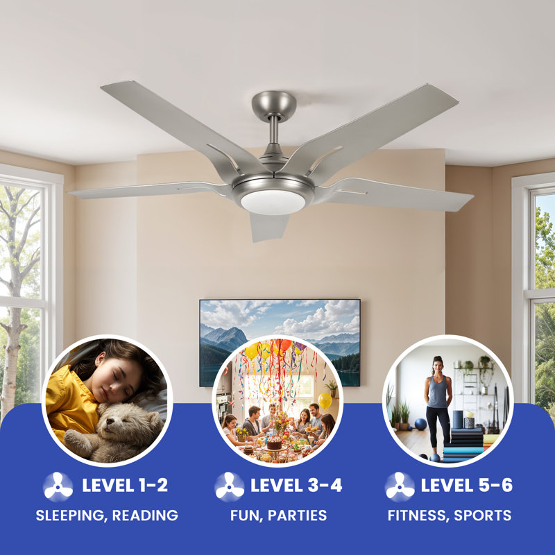 Kylani 54'' Ceiling Fan with LED Lights