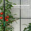 Greenhouse