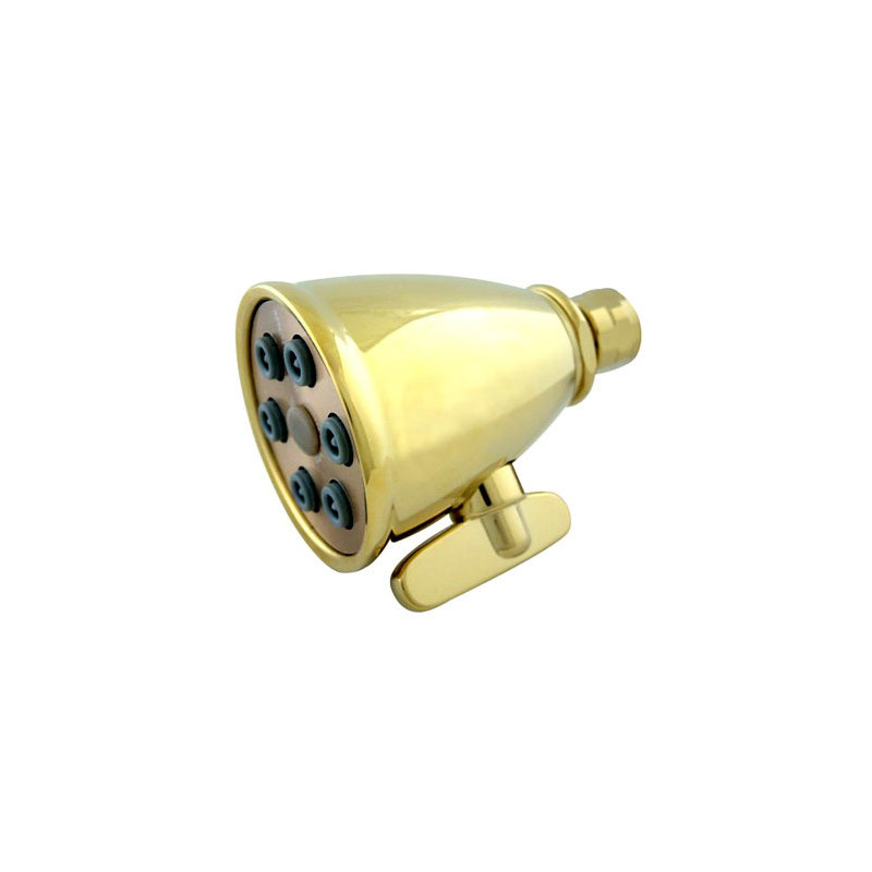 Hot Springs Jet Adjustable Shower Head, Polished Brass