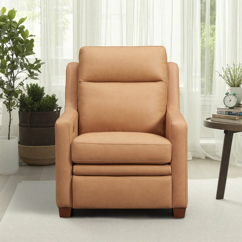 Fauteuil inclinable électrique Harpster , Brun