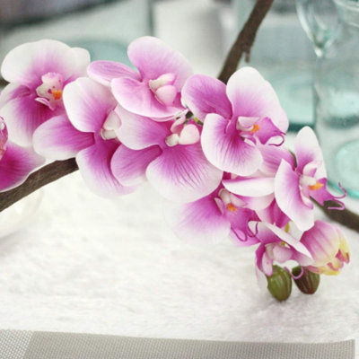 Silk Orchid Arrangement