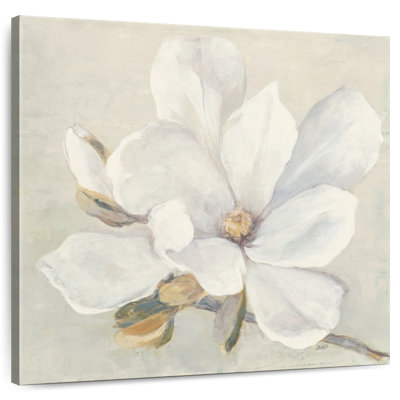 Serene Magnolia
