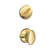 Bright Brass