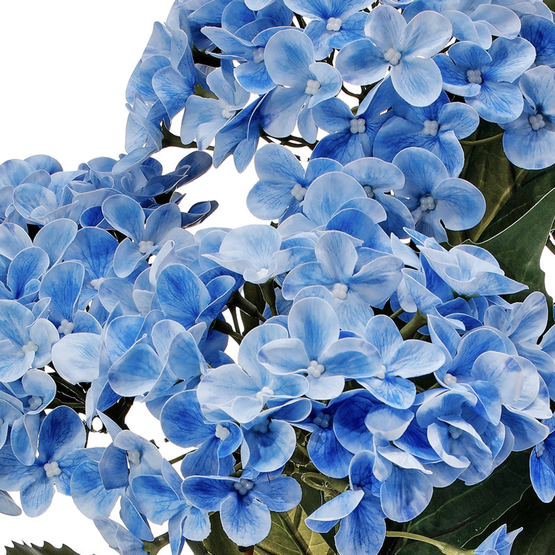 Arrangement d'hortensias, touche naturelle, Bleu