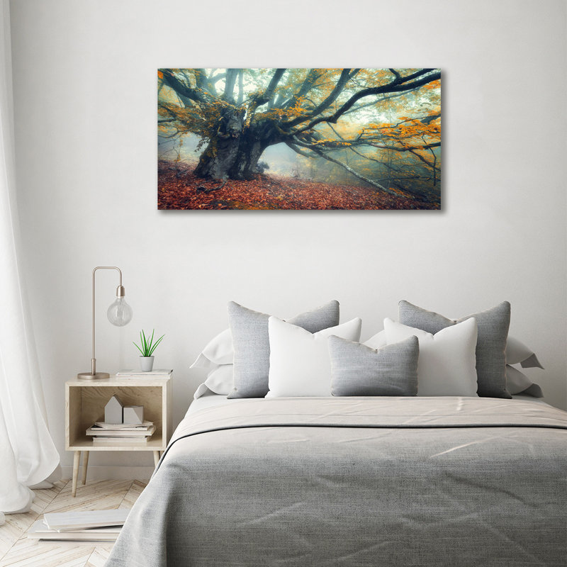 Old Tree - Wrapped Canvas Print, Canvas, 70cm H x 140cm W 