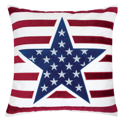 Decosta Embroidered Feather Throw Pillow