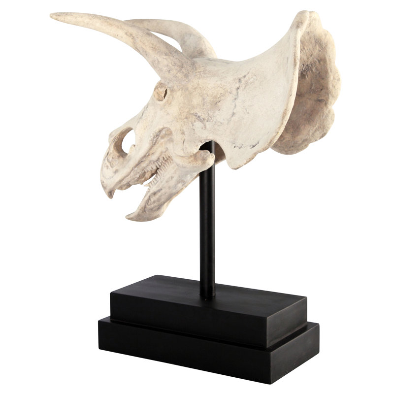 Triceratops Dinosaur Skull Fossil Bust on Museum Mount