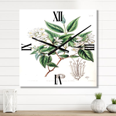 Vintage Botanicals X - Traditional Wall Clock