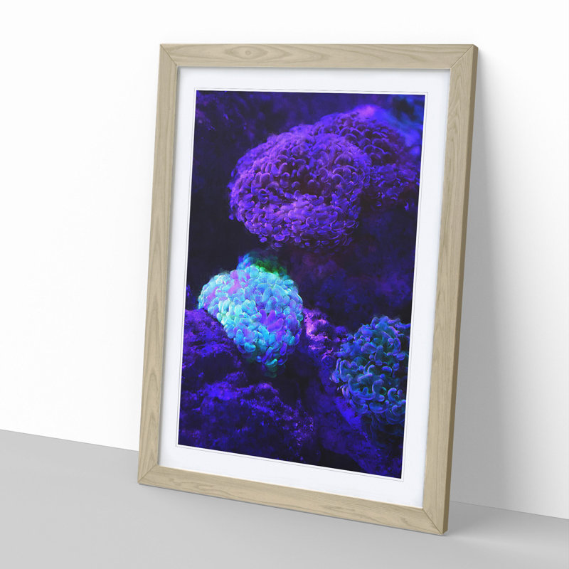 Luminescent Coral - Picture Frame Graphic Art, Oak Framed, 36cm H x 27cm W x 2cm D