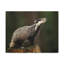 No Frame Print on Canvas-139278065