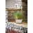 Brentwood Ceramic Planter with Saucer
