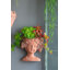 Pot de fleurs mural en ciment-716836188