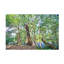 Summer Greens Modern & Contemporary-386813784