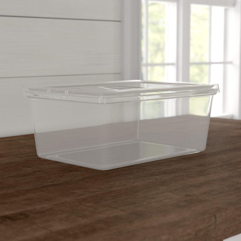Basics By Wayfair™ Didmarton Plastic Bin, 17 Quart