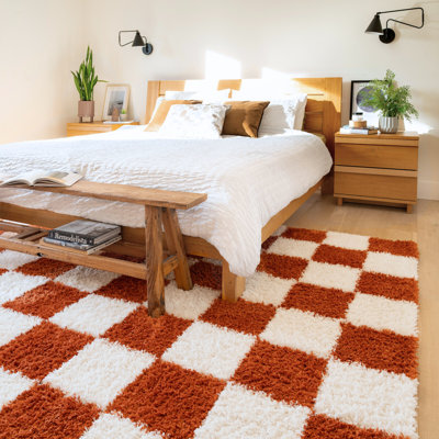 Tanaja Chequered Machine Tufted Shag Area Rug