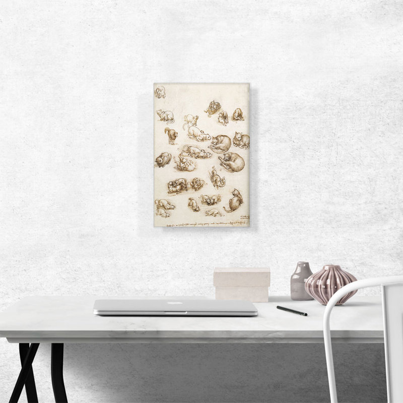 «Lion and Cat Anatomical Study» par Leonardo Da Vinci, reproduction d'art sur toile tendue, H 18 po x l 12 po x P 0,75 po