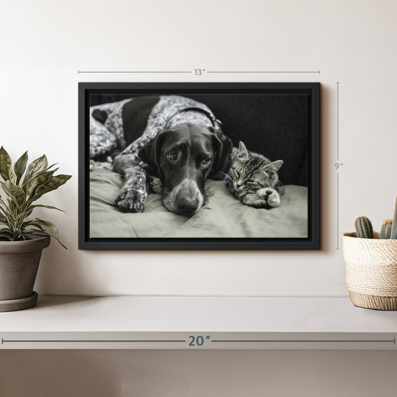Animal «Dog and Cat Friends Wall Art», H 9 po x l 13 po