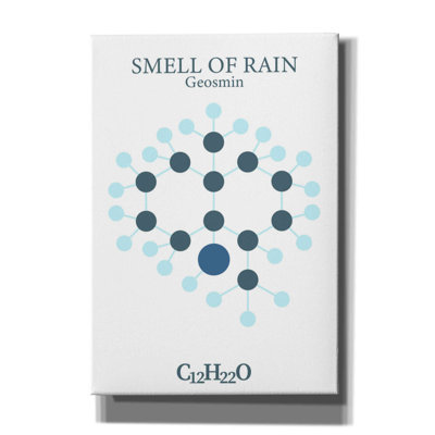" Smell Of Rain Molecule " by Maxim