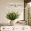Faux plante d'eucalyptus