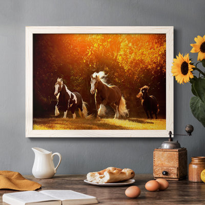 " Horse Motion V "