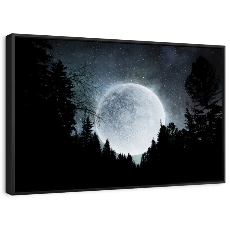 «Moon Outdoor Wall Art», H 25 po x l 37 po