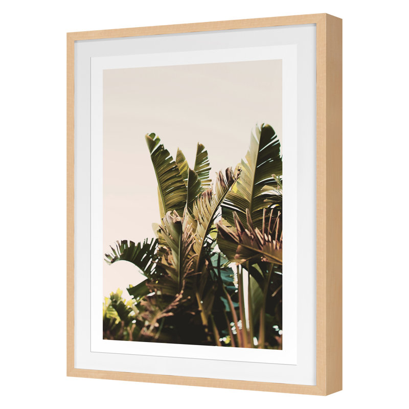 Equaltorial Print by Alicia Bock, Maple Framed, 30" H x 22" W
