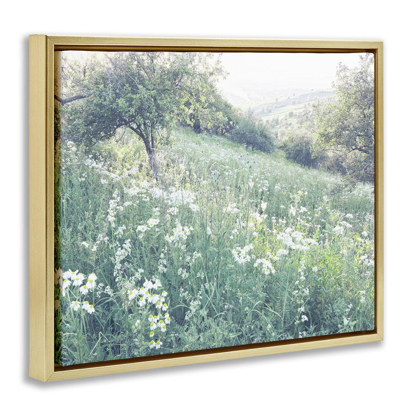 «Sunny Daisies in Meadow Floating Frame», conception par Leah Straatsma, Cadre flottant métallique doré, H 25 po x l 31 po