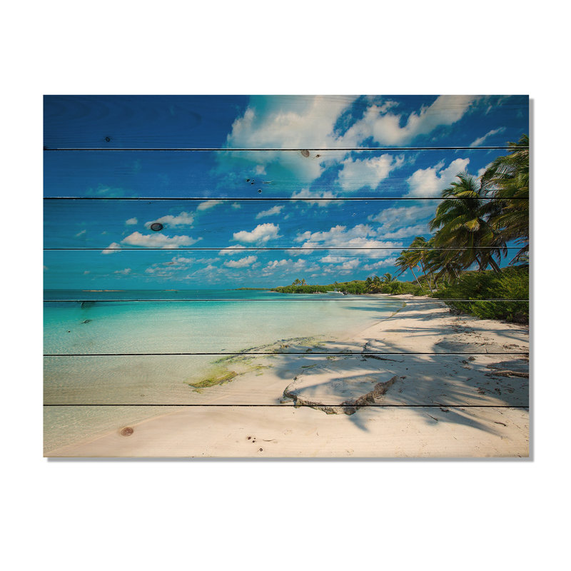 «Tropical Beach with Palm Shadows» de Mattos - reproduction de photo, H 15 po x l 20 po, Bois