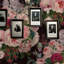 Cevilla Dark Velvet Floral Wallpaper