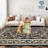 Washable Rugs Area Rugs for Living Room Modern Non Slip Area Rug for Bedroom Farmhouse Stain Resistant Carpet for Office Dining Room Classroom-82960311-82960309