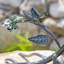 Bain d'oiseaux Friedewald-644874593