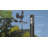 Delfine 36'' H Aluminum Animals Weathervane