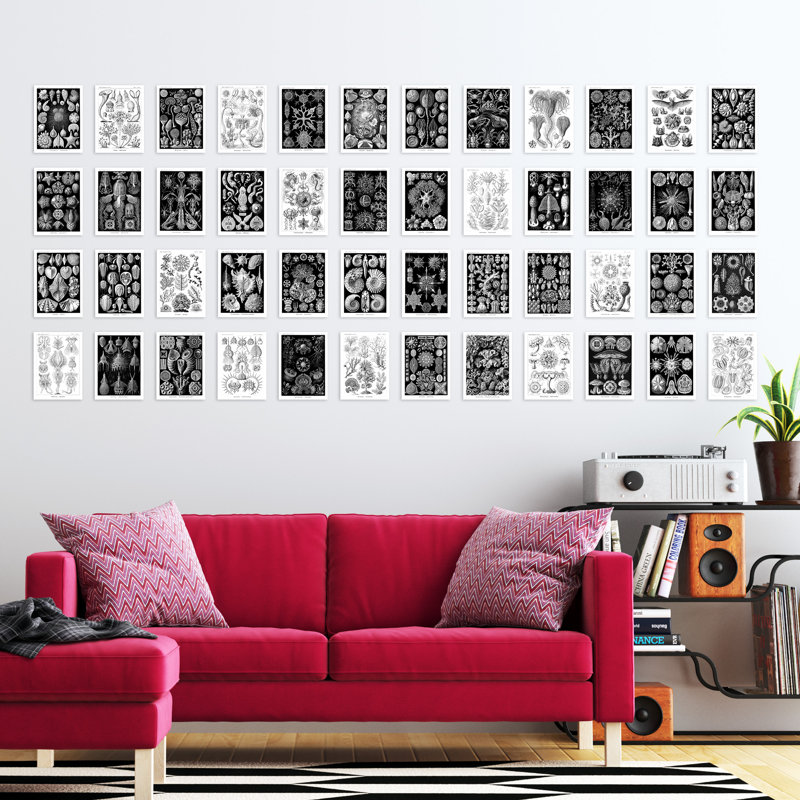 Baryram 50 Piece No Frame Print
