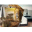 Lion et Mont Kilimandjaro - Coussin imprimé animal-30061487-30061490