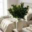 75 cm H Faux Plant-127681014