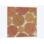 Pissenlits, impression sur toile tendue-74747291-19732193