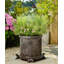Pieds de jardinière boxer