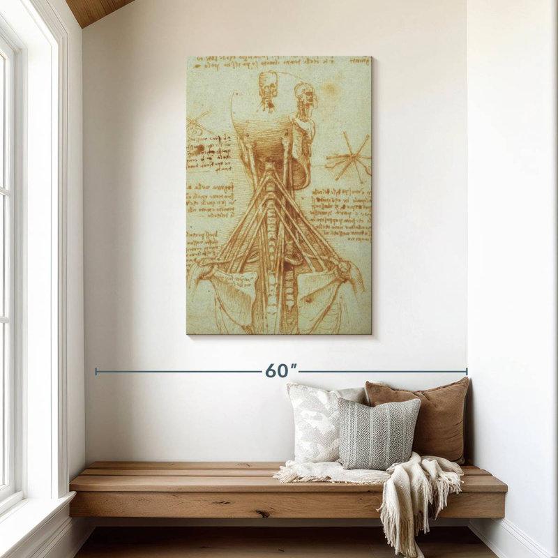 Anatomie du cou Keiri, H 45 po x l 30 po