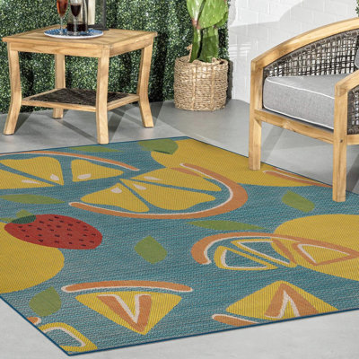 Indoor / Outdoor Rug