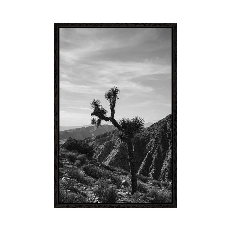 Joshua Tree National Park XXXIV by Bethany Young - Print on Canvas, Black Framed, 101.6cm H x 66.04cm W x 3.81cm D