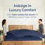Drap plat doux - Drap de dessus rafraîchissant, respirant et infroissable-106537322-106537315