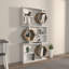 Lile 171cm H x 90cm W Bookcase-1583676995