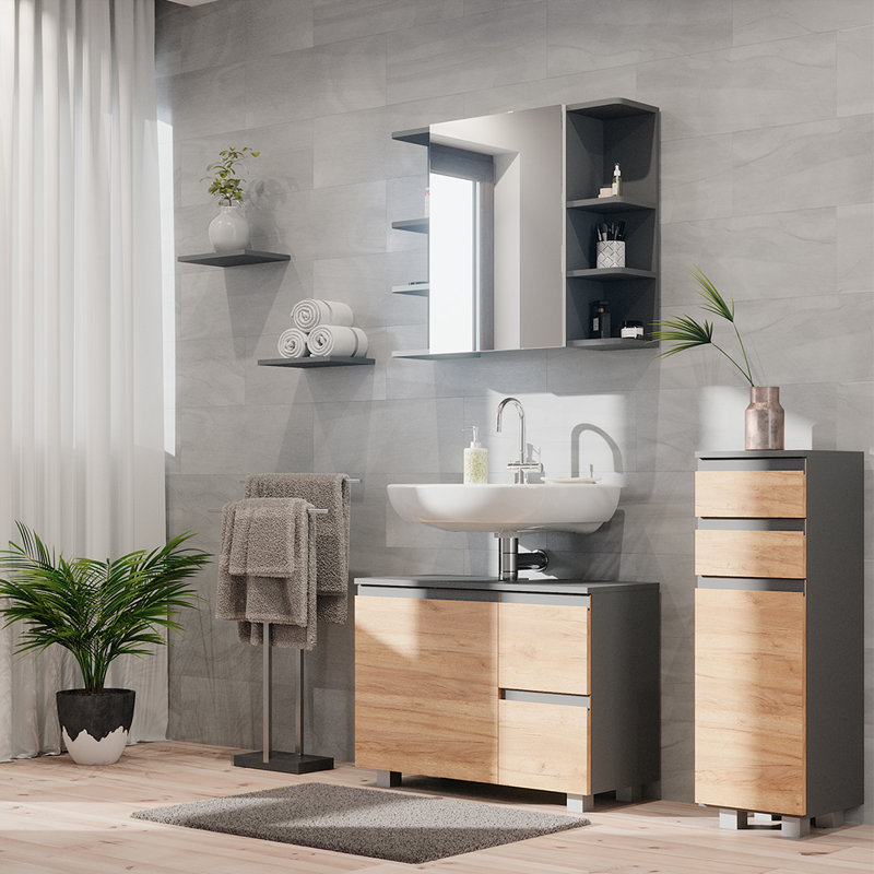 McCallsburg Freestanding Bathroom Cabinet