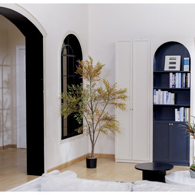 Plante de bambou 70 po