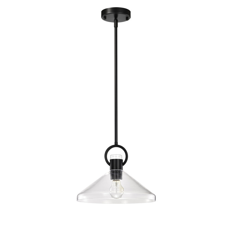 Luminaire suspendu 1 lumière Andros, Noir mat