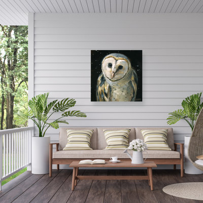 Andrea Lavery Night Owl Outdoor  Canvas