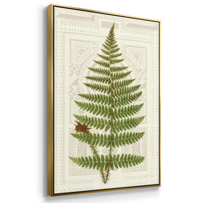 " Garden Ferns V "