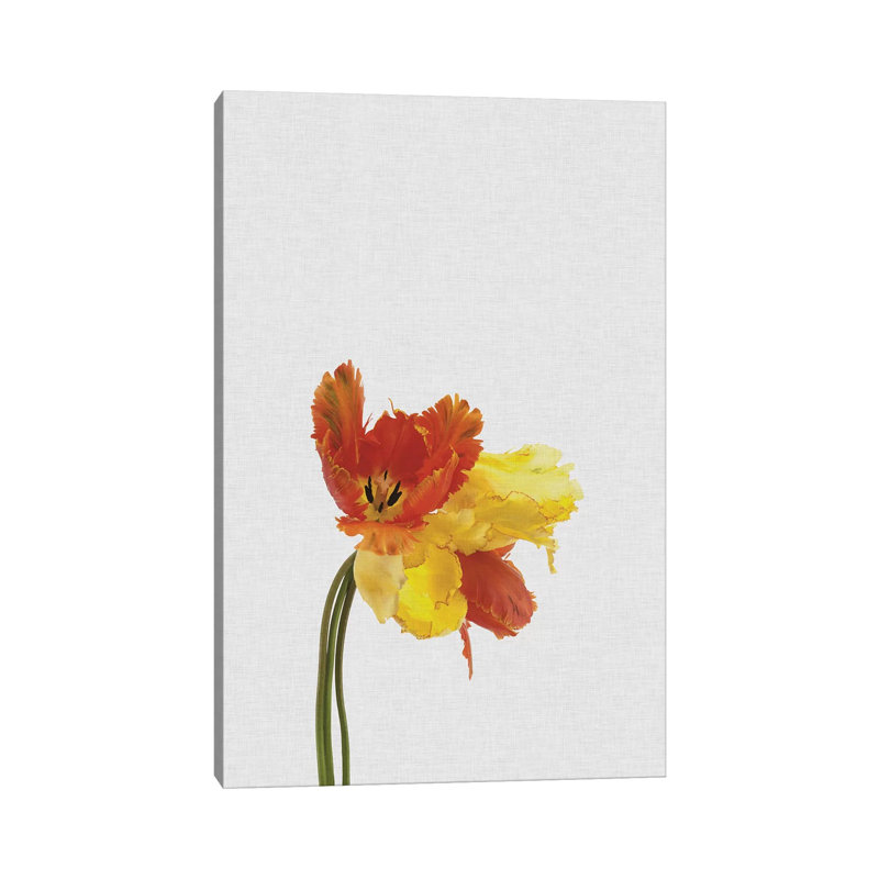 Tulip - Wrapped Canvas Painting, 101.6 cm H x 66.04 cm W