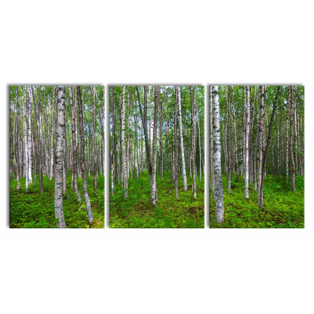 3-tlg. Leinwandbilder-Set Birch Forest