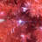 Lighted Christmas Tree
